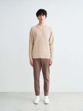 Men's crazy border l/s v neck 詳細画像