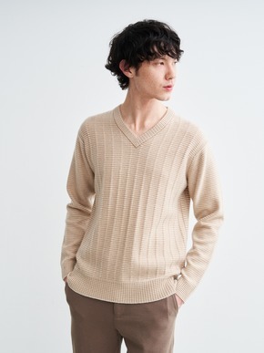 Men's crazy border l/s v neck 詳細画像