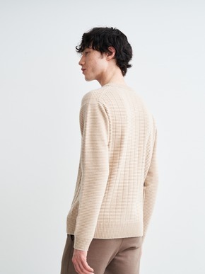 Men's crazy border l/s v neck 詳細画像