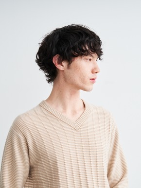 Men's crazy border l/s v neck 詳細画像